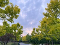 -东郊湿地公园