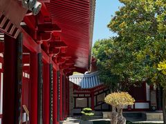 -大慈恩寺(大雁塔)