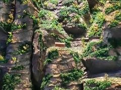 -房山世界地质公园博物馆
