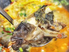 -老刘生态大鱼坊铁锅炖鱼(赛马场店)