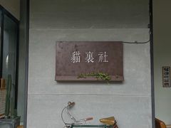 -猫里有甜