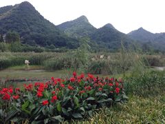 -贵阳市花溪国家城市湿地公园