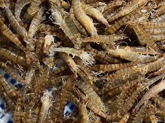 -十二海鲜(南湖店)