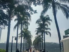 -南宁南湖公园