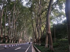 -南京海底世界