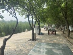 -第五季龙水凤港生态露营农场