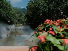 -广州白江湖森林公园