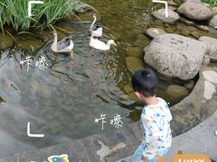 -活水公园