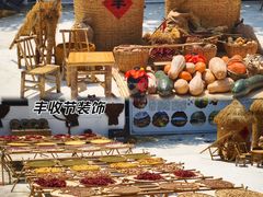 -青青世界
