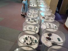 -陕西自然博物馆