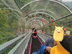 -牛鱼嘴原始生态风景区