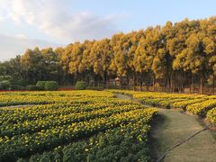 -广东花都香草世界旅游度假区