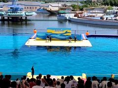 -秦皇岛乐岛海洋王国