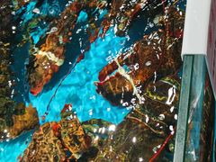 -宝燕海鲜(好爱店)