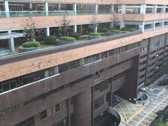 -香港大学