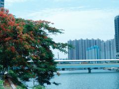 -屯门公园