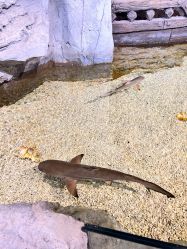 -Zoolung Zoolung动物主题公园(海信广场店)