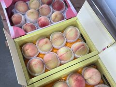 -南汇水蜜桃采摘(大团店)