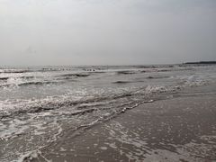 -日照海滨国家森林公园