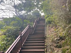 -桃花岭景区