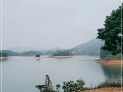 -广州市流溪河国家森林公园