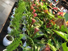 -果蔬好生活超市(乐堤港店)