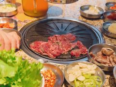-安又胖韩国烤肉