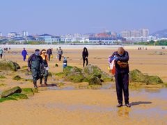 -刘家湾赶海园
