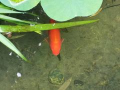 -花锦堂·隐庐