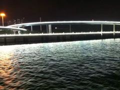 -演武大桥观景平台