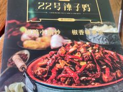 -柴窝堡22号辣子鸡·传承新疆菜