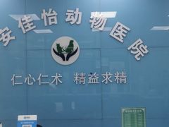 -佳怡动物医院·平价24小时·猫专科骨外科