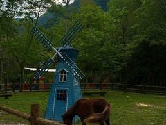 -龙湾潭国家森林公园