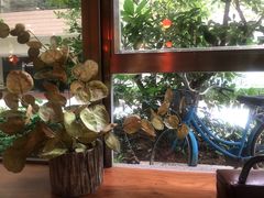 -咖法森林·咖啡  酒吧(天河店)