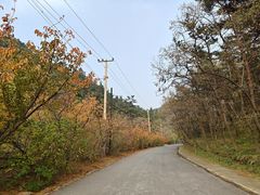 -金龙寺国家森林公园