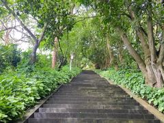 -海口火山口国家地质公园