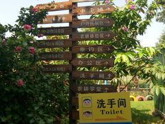 -新地休闲农场