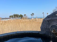 -青岛海泉湾度假区温泉