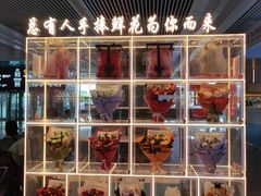 -石家庄正定国际机场-T2航站楼