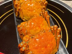 -沪小胖小龙虾(淮海中路旗舰店)