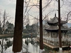 -习家池