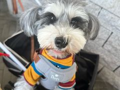 -22ºN BISTRO西餐&酒馆