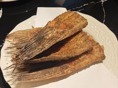 -阿里家·新疆烤肉酒場
