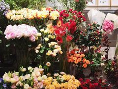 -植物学家的女儿(北马道巷店)