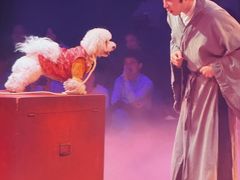 -瑞虹新天地月亮湾