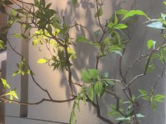 -船歌·鱼水饺青岛菜(黄岛珠江路店)