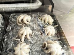 -铭聚章鱼土笋冻(松柏店)