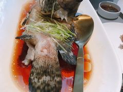 清蒸石斑鱼-徐记海鲜(南油永新汇店)