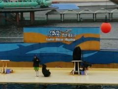 -秦皇岛乐岛海洋王国