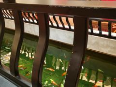 -龙悦湾酒家·八阵鱼生·渔人码头店